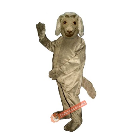 Afghan Mascot Costume, Afghan Costume