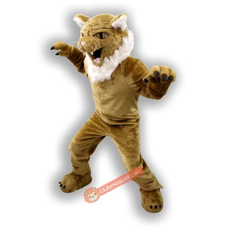 Bearcat Mascot Costume, Bearcat Costume