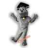 Belleview Bulldog Mascot Costume, Belleview Bulldog Costume