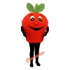 Big Apple (Bodysuit not included) Mascot Costume, Big Apple (Bodysuit not included) Costume