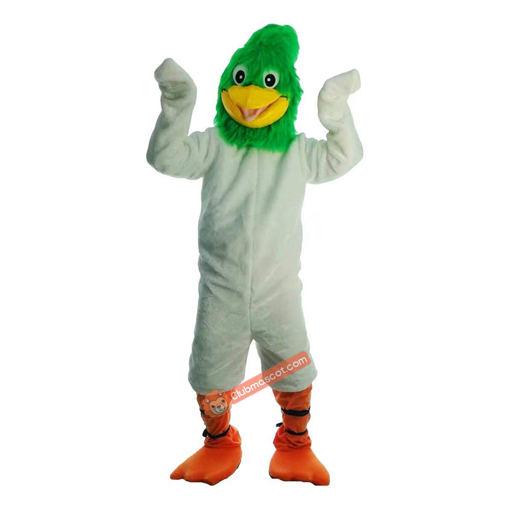 Bird Cartoon Mascot Costume, Bird Cartoon Costume