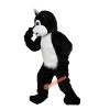 Black Raccoon Cartoon Mascot Costume, Black Raccoon Cartoon Costume