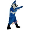 Blue Bird Mascot Costume, Blue Bird Costume