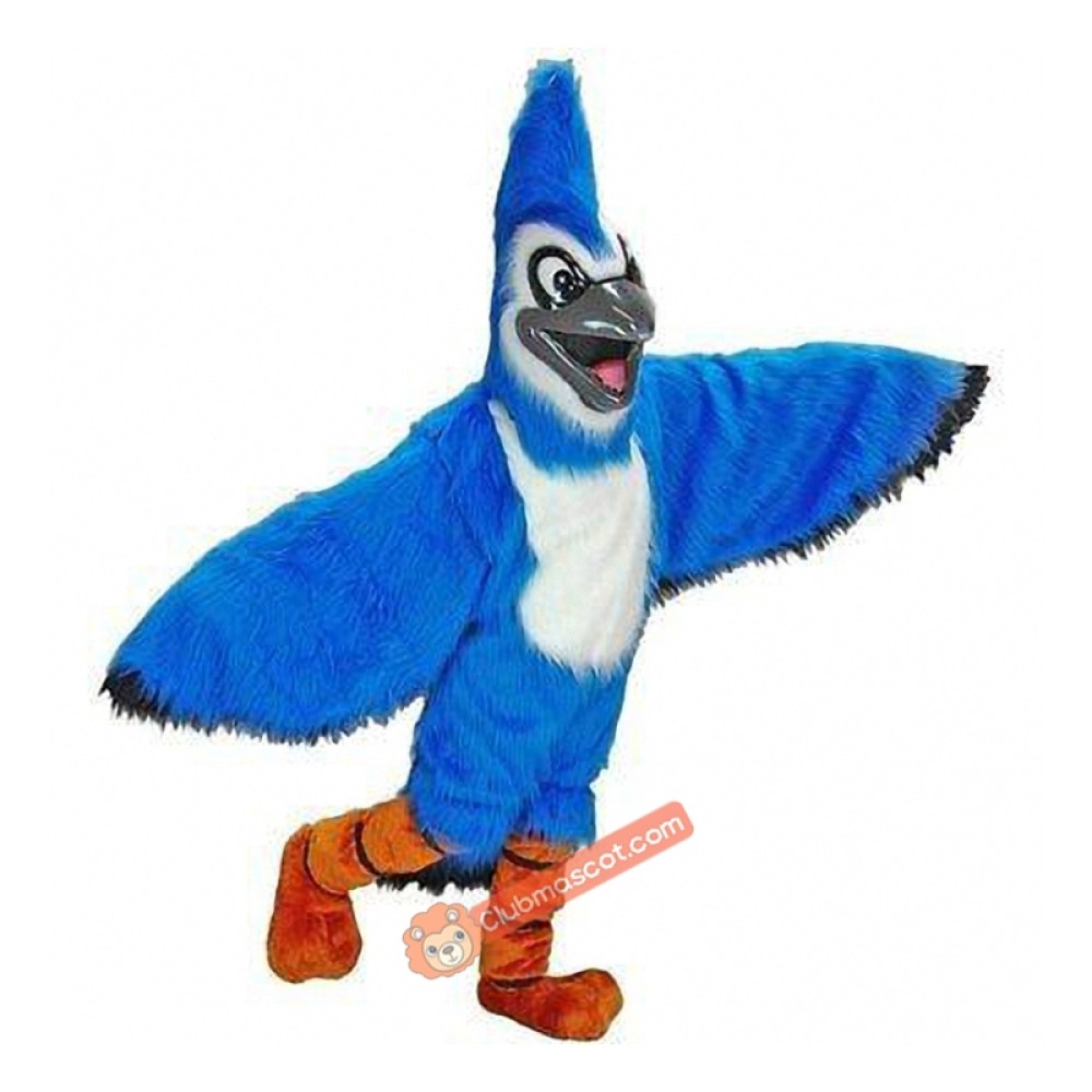 Blue Jay Mascot Costume, Blue Jay Costume