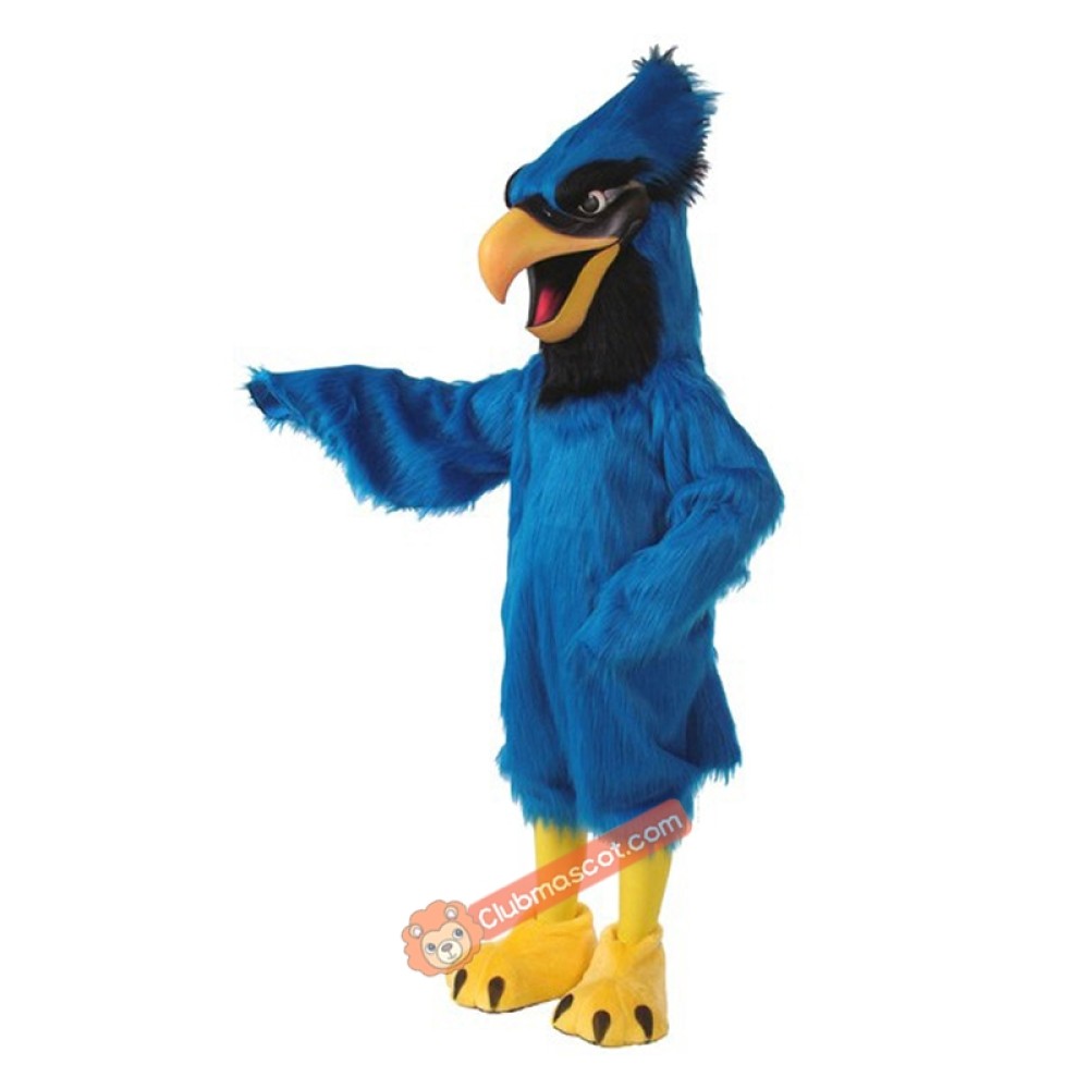 Blue Jay Mascot Costume, Blue Jay Costume