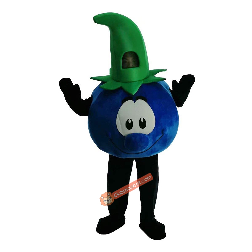 Blueberries, Mr. Cartoon Mascot Costume, Blueberries, Mr. Cartoon Costume