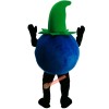 Blueberries, Mr. Cartoon Mascot Costume, Blueberries, Mr. Cartoon Costume