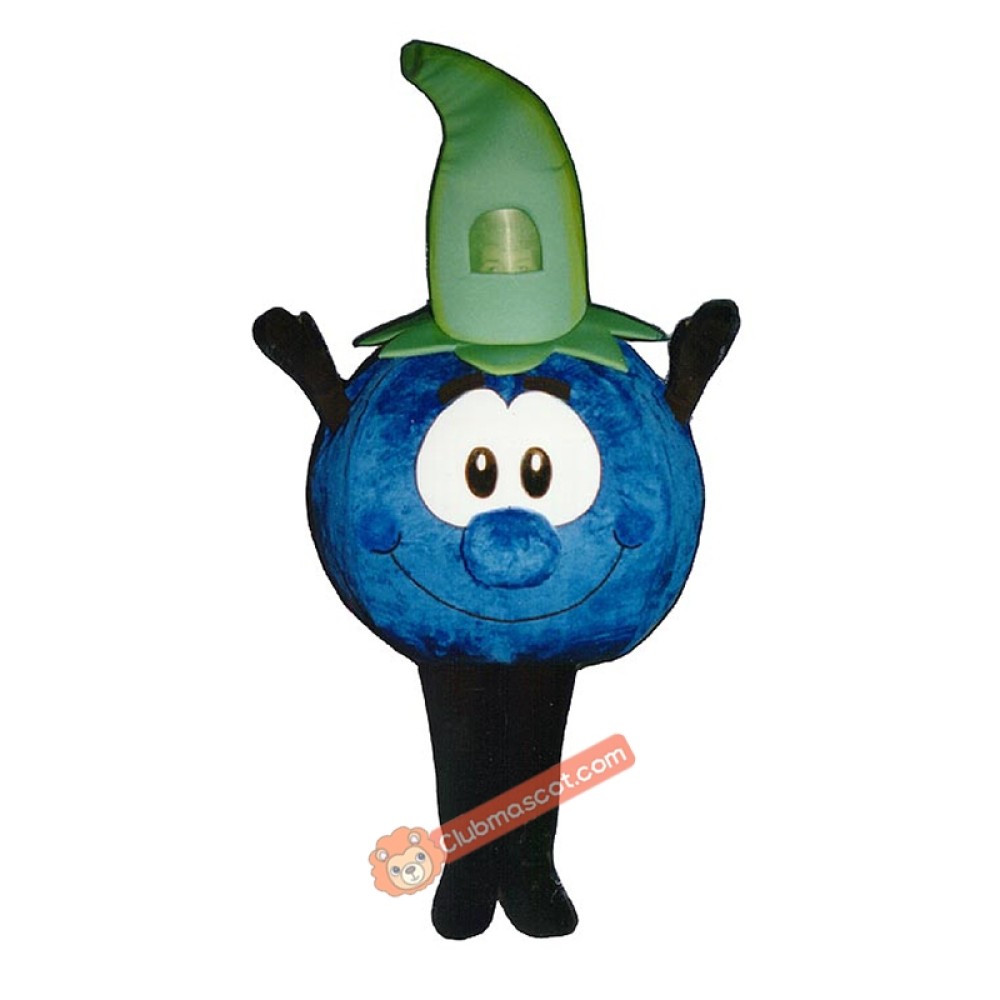 Bobbie Blueberry (Bodysuit not included) Mascot Costume, Bobbie Blueberry (Bodysuit not included) Costume