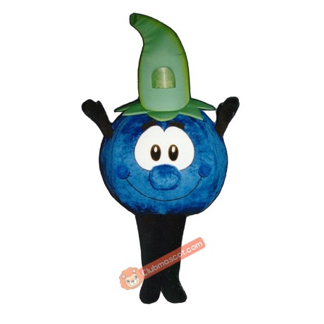 Bobbie Blueberry (Bodysuit not included) Mascot Costume, Bobbie Blueberry (Bodysuit not included) Costume