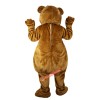 Brown Bear Cartoon Mascot Costume, Brown Bear Cartoon Costume