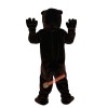 Brown Bear Cartoon Mascot Costume, Brown Bear Cartoon Costume