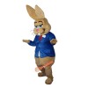 Brown Rabbit Bunny Cartoon Mascot Costume, Brown Rabbit Bunny Cartoon Costume