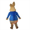 Brown Rabbit Bunny Cartoon Mascot Costume, Brown Rabbit Bunny Cartoon Costume