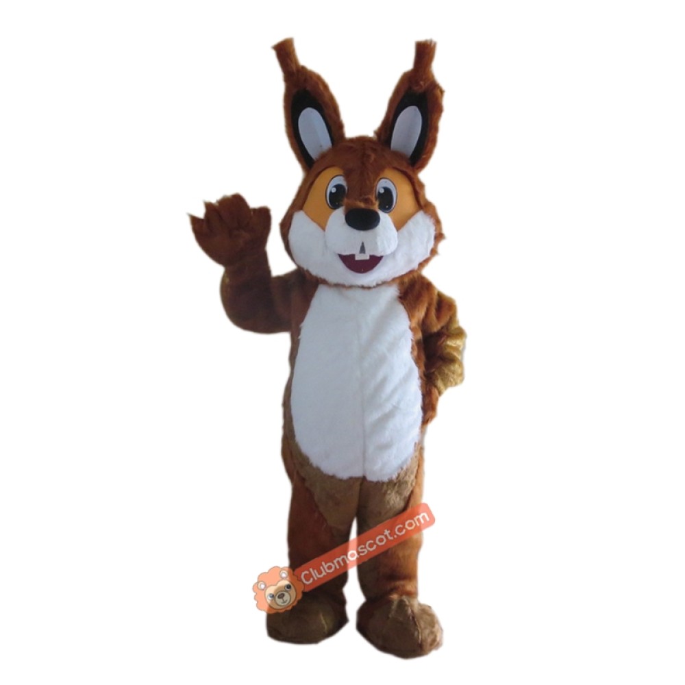 Brown Squirrel Custom Mascot Costume, Brown Squirrel Custom Costume