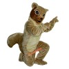 Brown Squirrel Mascot Costume, Brown Squirrel Costume