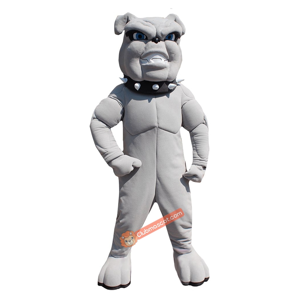 Bull Dog Mascot Costume, Bull Dog Costume