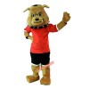 Bulldog Mascot Cartoon Mascot Costume, Bulldog Mascot Cartoon Costume