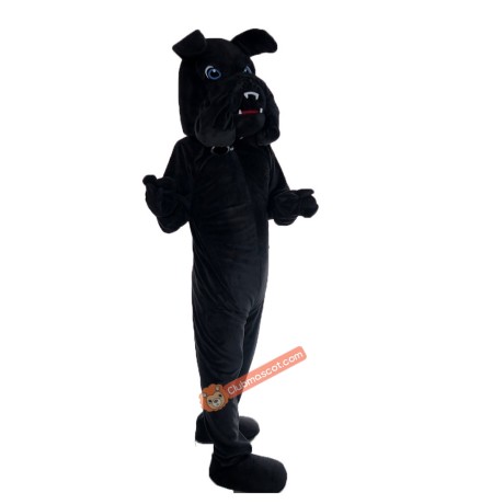 Bulldog Mascot Costume, Bulldog Costume