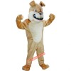 Bulldog Mascot Costume, Bulldog Costume