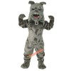 Bully Bulldog Mascot Costume, Bully Bulldog Costume