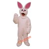 Bunny Mascot Costume, Bunny Costume