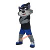 Cartoon Raccoon Mascot Costume, Cartoon Raccoon Costume