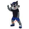 Cartoon Raccoon Mascot Costume, Cartoon Raccoon Costume