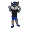 Cartoon Raccoon Mascot Costume, Cartoon Raccoon Costume