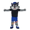 Cartoon Raccoon Mascot Costume, Cartoon Raccoon Costume