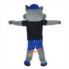 Cartoon Raccoon Mascot Costume, Cartoon Raccoon Costume