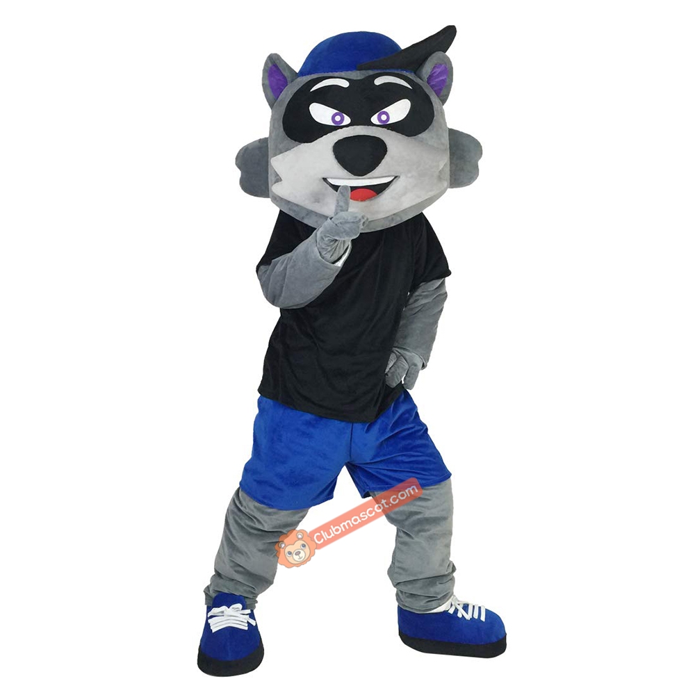 Cartoon Raccoon Mascot Costume, Cartoon Raccoon Costume