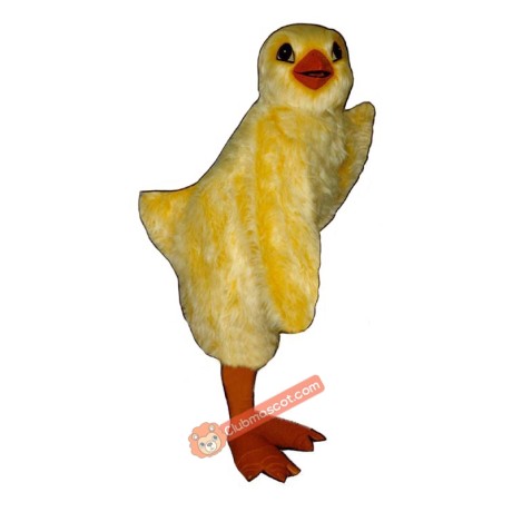 Chick Mascot Costume, Chick Costume