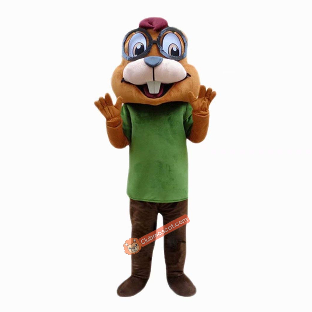 Chipmunk Cartoon Mascot Costume, Chipmunk Cartoon Costume