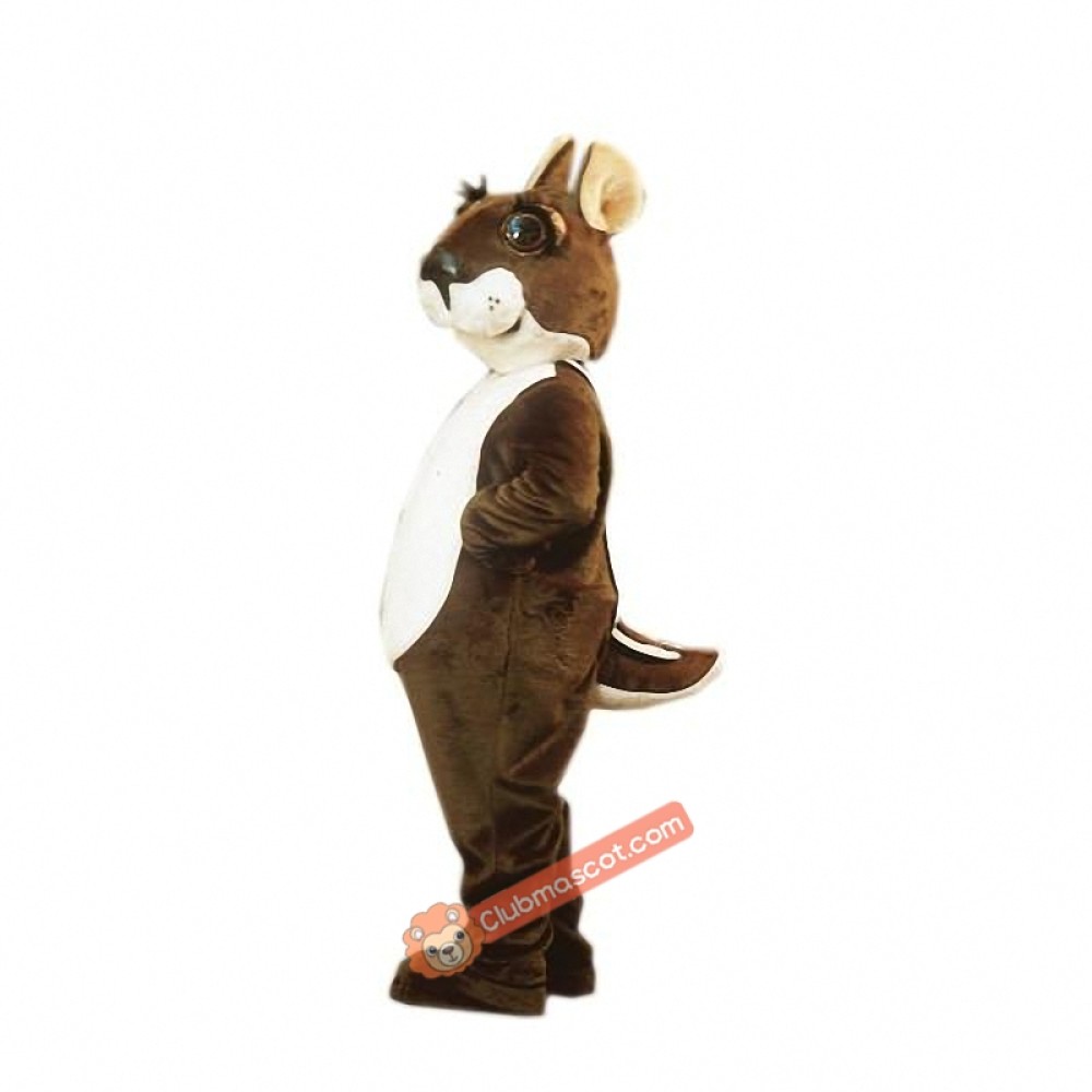 Chipmunk Mascot Costume, Chipmunk Costume