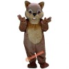 Chipper Chipmunk Mascot Costume, Chipper Chipmunk Costume