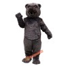 Cocomo Bear Mascot Costume, Cocomo Bear Costume