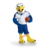 College Handsome Eagle Mascot Costume, College Handsome Eagle Costume