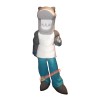 Crw Shark Mascot Costume, Crw Shark Costume