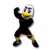 Black Eagle Mascot Costume