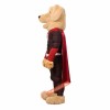 Dog retriever Mascot Costume, Dog retriever Costume