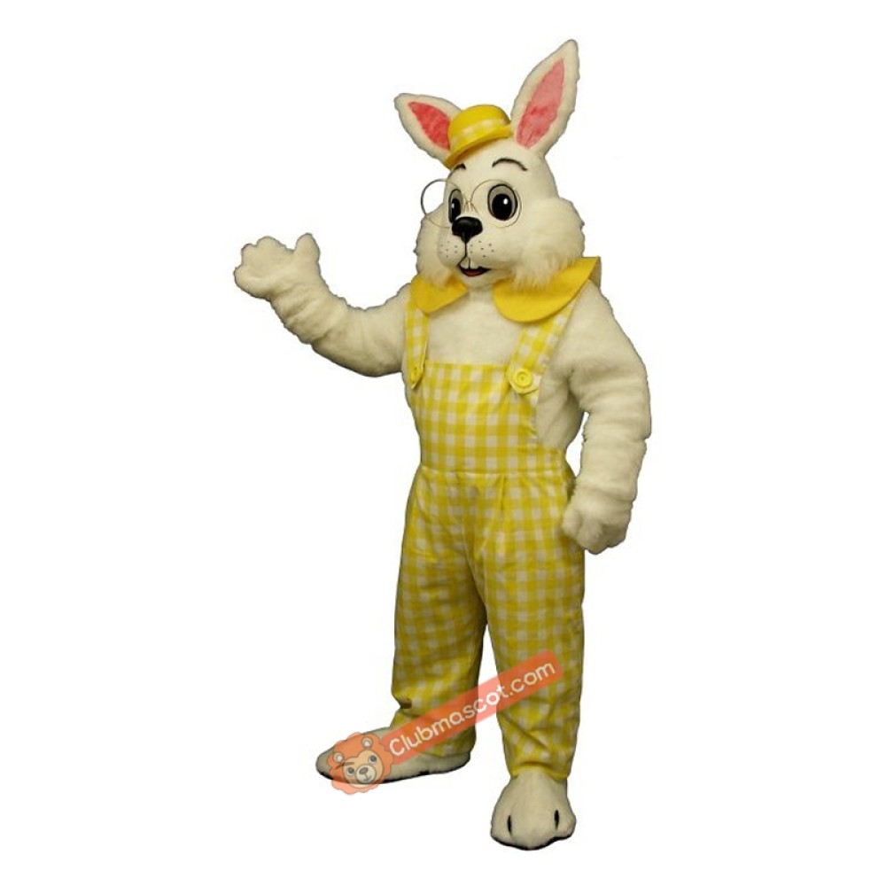 Eggbert Mascot Costume, Eggbert Costume