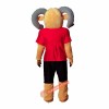 Ferocious Ram Mascot Costume, Ferocious Ram Costume