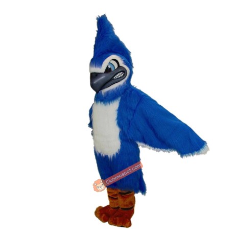 Fierce Blue Jay Mascot Costume, Blue Jay Costume