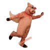 Flying Hog Mascot Costume, Flying Hog Costume