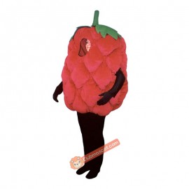 Fresh Raspberry (Bodysuit not included) Mascot Costume, Fresh Raspberry (Bodysuit not included) Costume