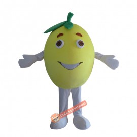 Fruit Grapefruit Mascot Costume, Fruit Grapefruit Costume