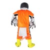 Gery Eagle Hawk Falcon Cartoon Mascot Costume, Gery Eagle Hawk Falcon Cartoon Costume