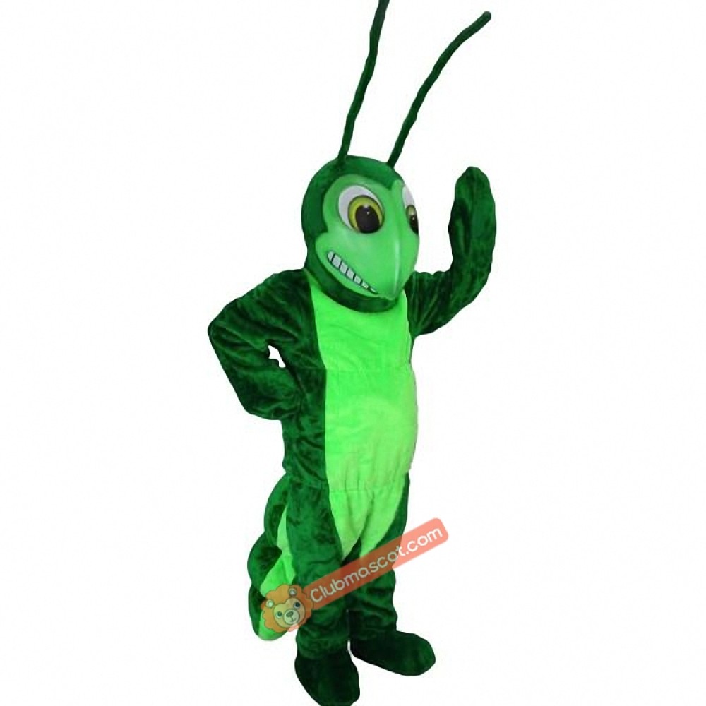 Grasshopper Mascot Costume, Grasshopper Costume