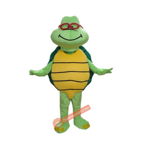 Green Turtle Custom Mascot Costume, Green Turtle Custom Costume