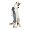 Grey Fox Dog Husky Cartoon Mascot Costume, Grey Fox Dog Husky Cartoon Costume